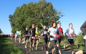 Foulées du Globe Santé (03/11/2013)
