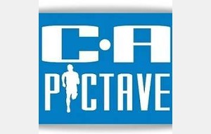 Biard à l'envol (23/02/2014)