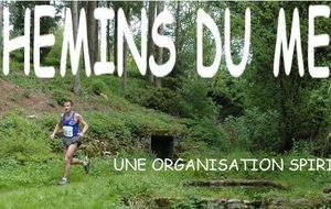 Les Chemins du Mellois 2014