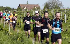 Thomas et Sam au Trail des Vignes !