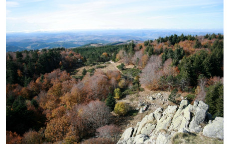 Festival des Hospitaliers (03/11/2013)