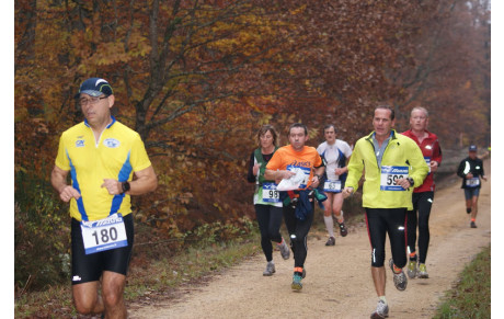 Course de l'automne (17/11/2013)