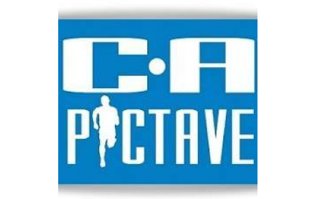 Biard à l'envol (23/02/2014)