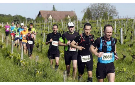 Thomas et Sam au Trail des Vignes !
